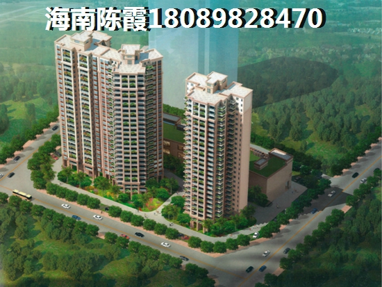 2024霖峰壹號生纸优势分析~