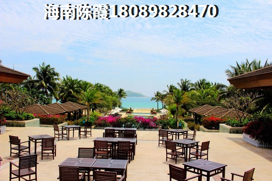安吉盛世 一居  户型图